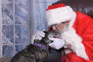 2025 Santa Pictures Thrift Shop